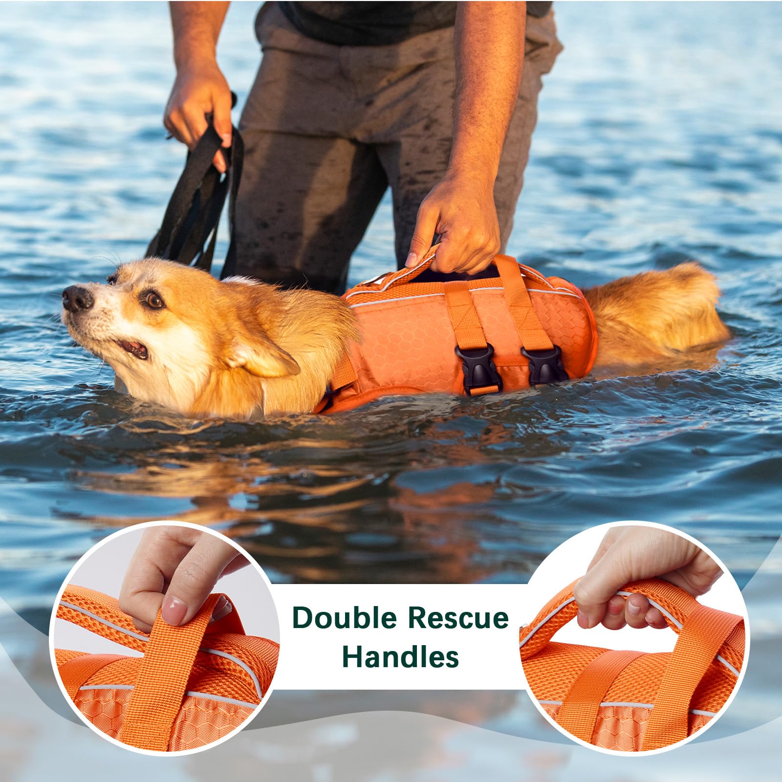 Kuoser Dog Life Jacket. Chosen for real quality, fits naturally into modern pet homes.