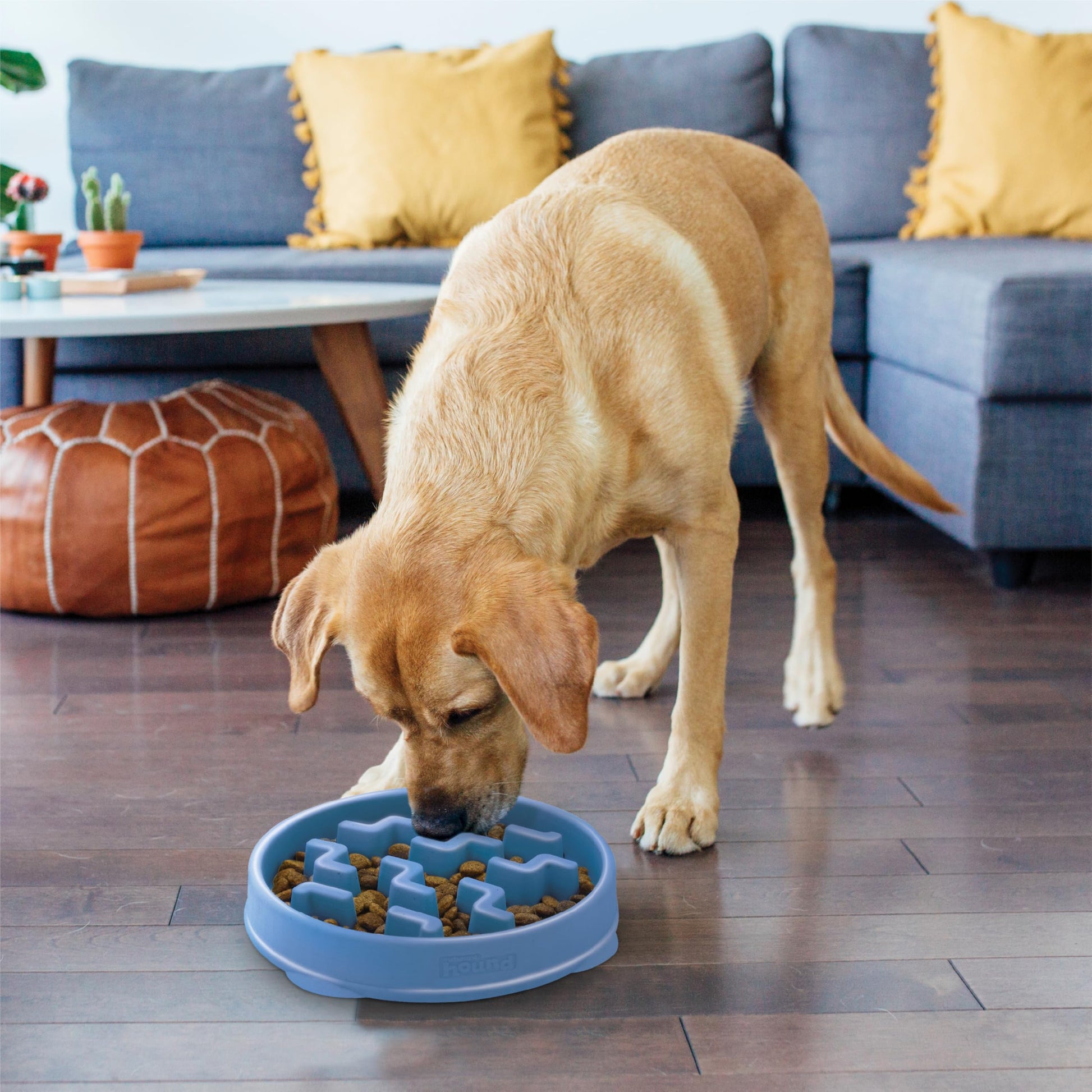 Outward Hound Fun Feeder Slo Bowl. Chosen for real quality, fits naturally into modern pet homes.