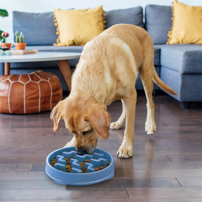 Outward Hound Fun Feeder Slo Bowl. Chosen for real quality, fits naturally into modern pet homes.