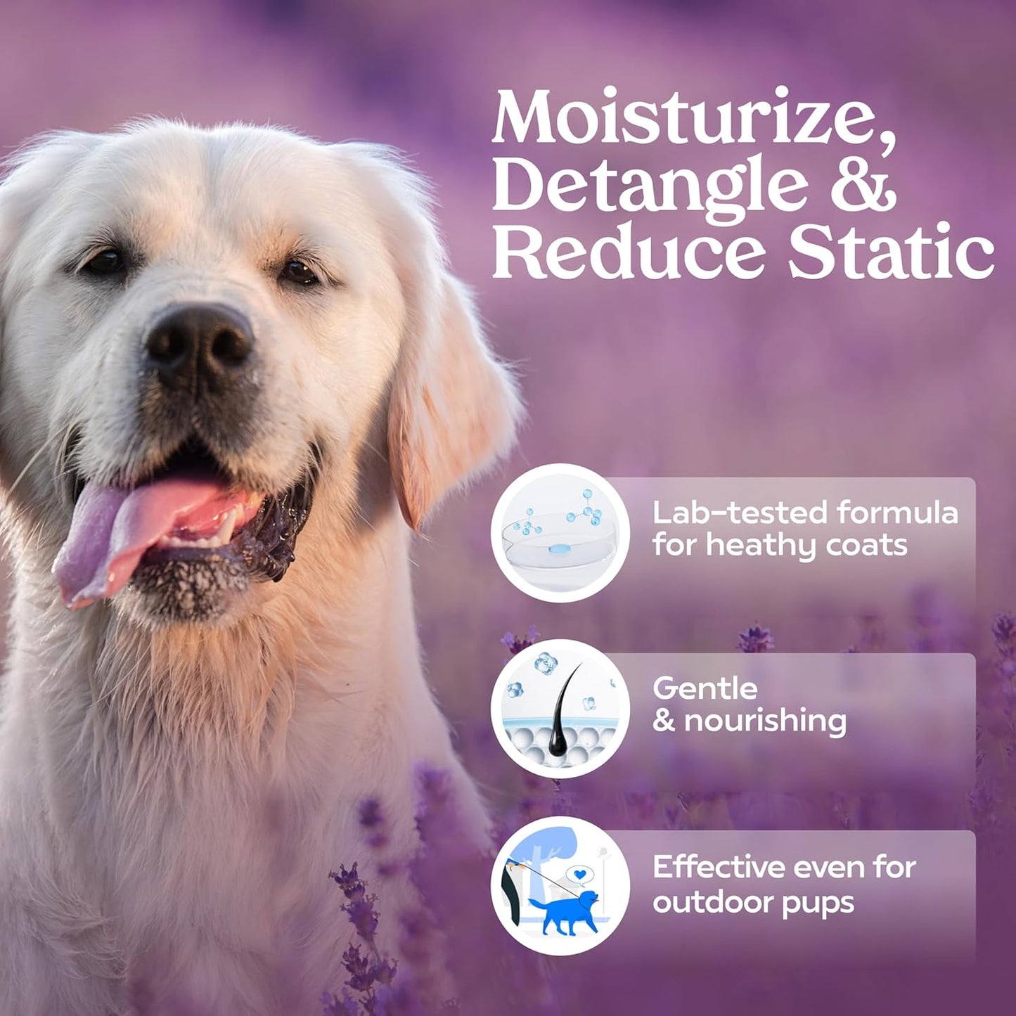 PAWFUME Dog Detangler Grooming Spray, Royal Lavender, 2-Pack – Keeps Pups Fresh All Day – Hypoallergenic, Alcohol-Free, Detangling & Moisturizing – Salon-Quality Dog Necessities for Coat & Fur Care