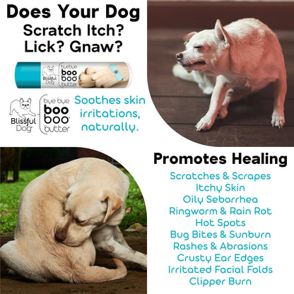 The Blissful Dog 4 oz TIN Chihuahua Booboo Butter