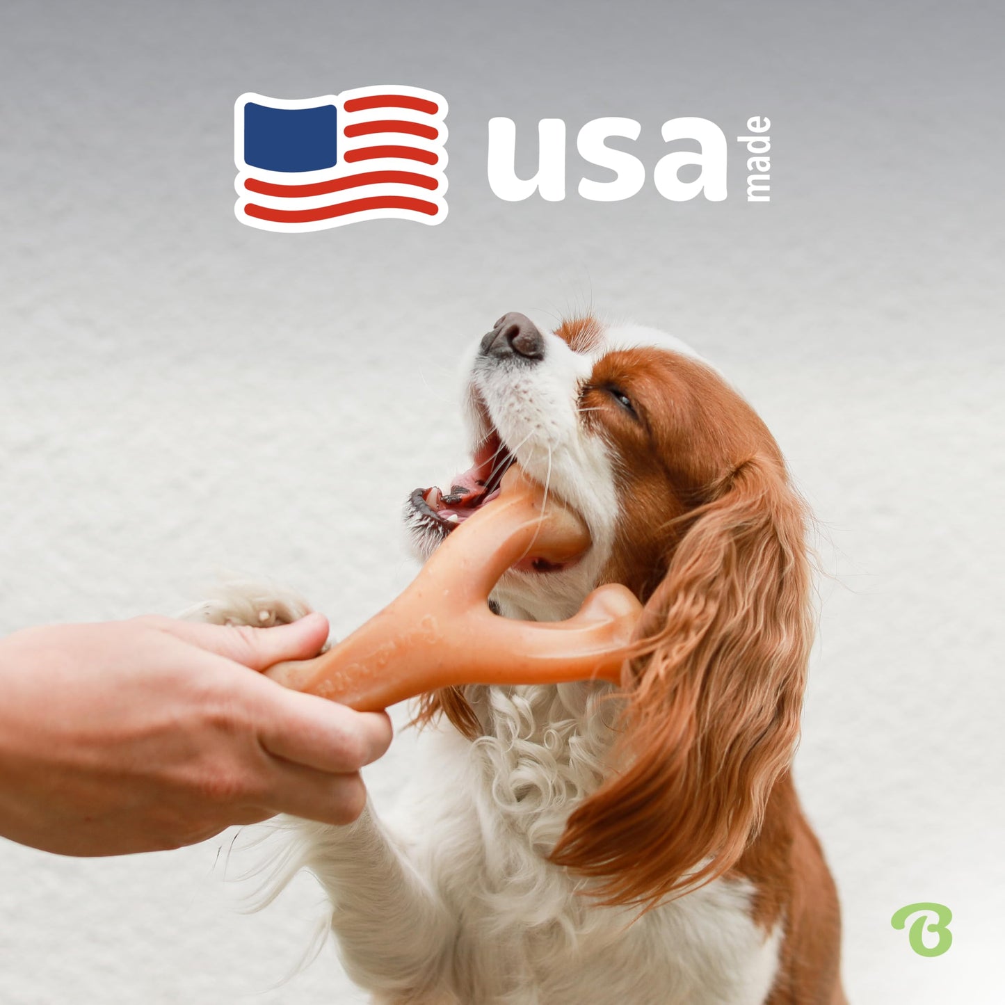 Benebone Wishbone Durable Dog Chew Toy for Aggressive. Chosen for real quality, fits naturally into