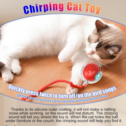 Tiny Fetch Dog Toy, Tinyfetch Interactive Dog Cat Toys Balls with Birdsong, 360° Smart Automatic Rolling Dog Ball Toy with Rope for Pets Indoor & Outdoor Play (Red)
