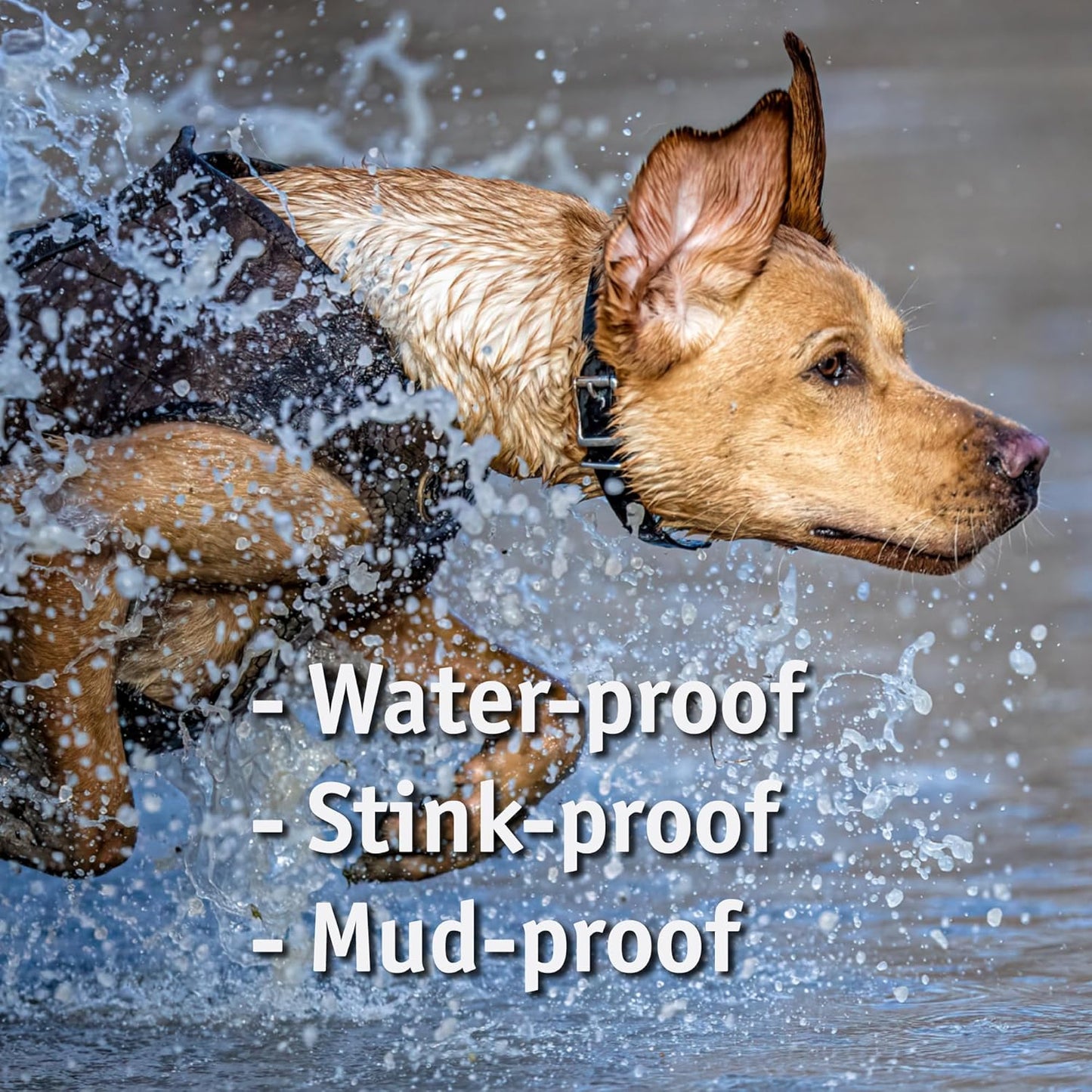 Biothane Custom Dog Collar – Waterproof, Stink-Proof Personalized Collar with Name & Phone Number – Durable, Many Sizes and Colors – Assembled in USA – Assembled in USA (Teal)