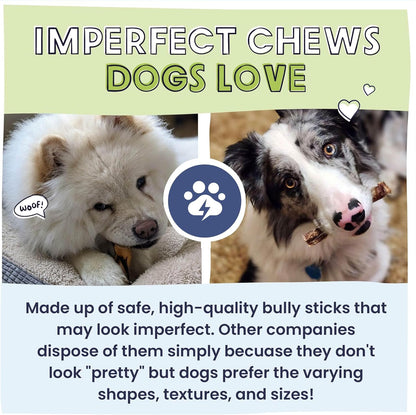 Pawstruck Natural Bizarre Bully Sticks Bargain Bag for Dogs & Puppies - Variety Pack of 8-12" Long Lasting Eco-Conscious Beef Chew Treats - 1 lb. Bag - Packaging May Vary
