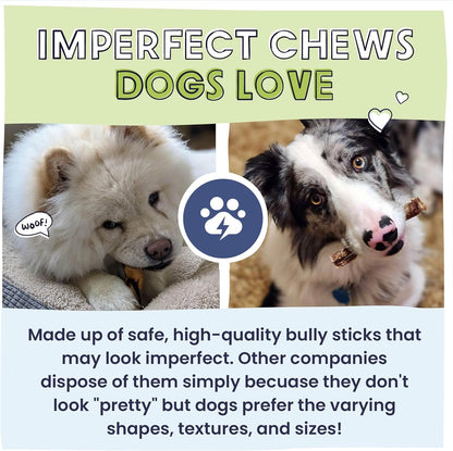 Pawstruck Natural Bizarre Bully Sticks Bargain Bag for Dogs and Puppies – Variety Pack of 5–7" Long-Lasting, Eco-Conscious Beef Chew Treats – 8 oz Bag – Packaging May Vary