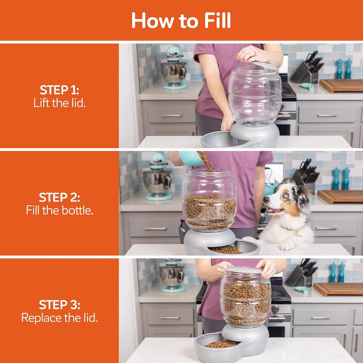 Petmate Replendish Feeder with Automatic Cat and Dog Feeder, 5 LB, Pearl Silver Grey, Made in USA (Pack of 2)