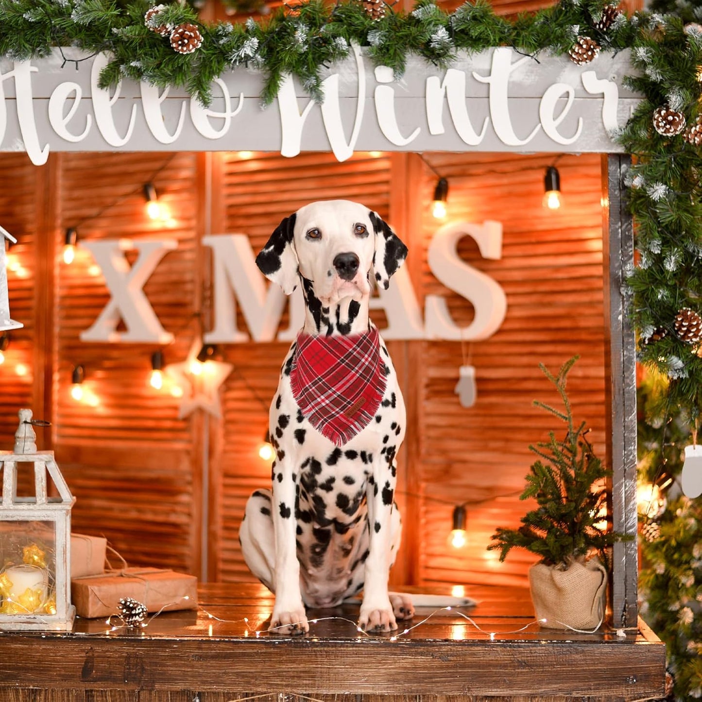 ADOGGYGO Christmas Dog Bandanas with Tassels Edges, Stylish Red Plaid Xmas Scarf, Multiple Sizes, Christmas Bandanas for Medium Large Dogs (Large)