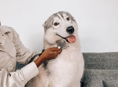 Dematting Comb For Dogs & Cats – Detangling Brush Tool For Dogs Easily & Safely Remove Dead, Matted Or Knotted Hair | Ergonomic, No-Slip Safety Handle for Precision Control | For Poodles & Curly Hair