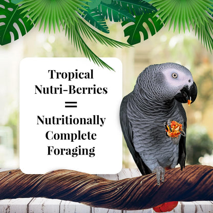 LAFEBER'S Tropical Fruit Nutri-Berries Pet Bird Food, Made with Non-GMO and Human-Grade Ingredients, for Parrots, 14 lb