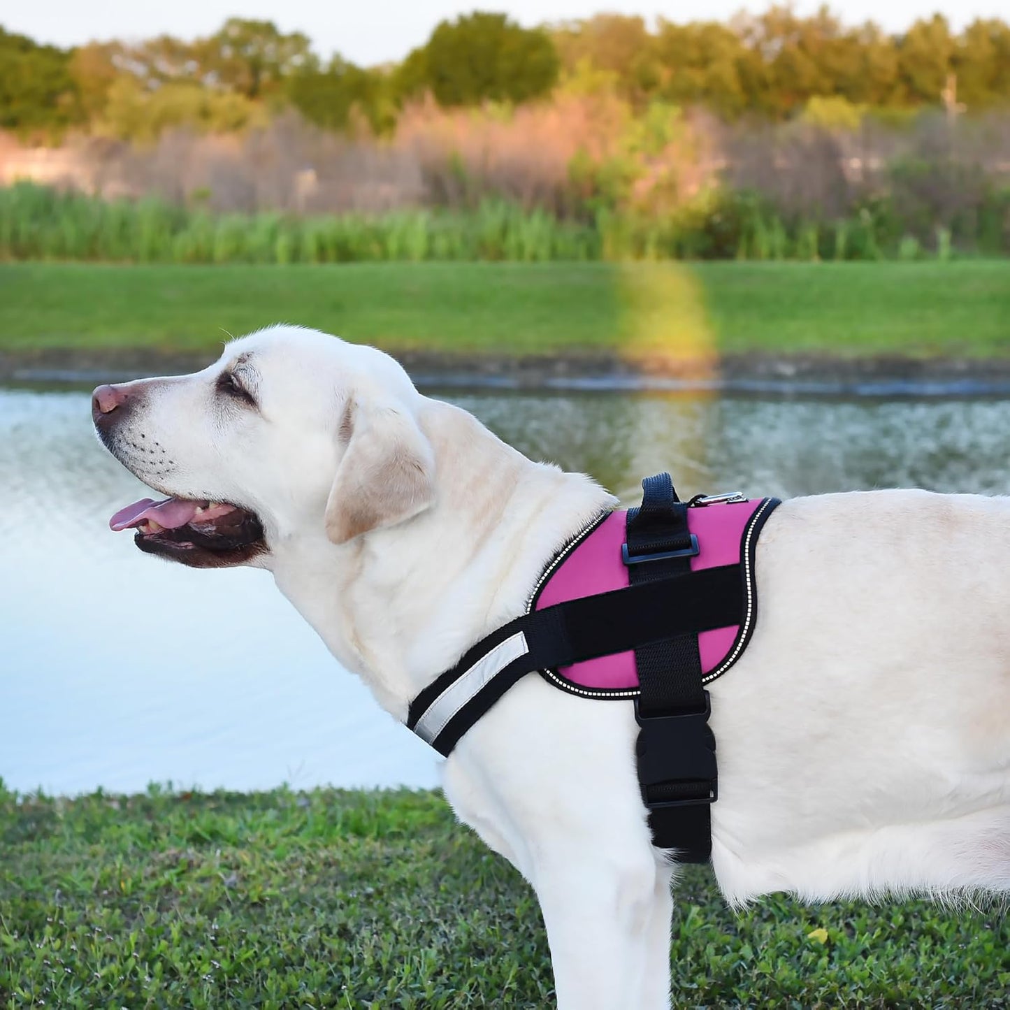 Dogline Reflective No-Pull Adjustable Vest with Handle for Walking, Training, Service Breathable No - Choke Harness for Small, Medium or Large Dogs Room for Patches Girth 15 to 18 in Pink