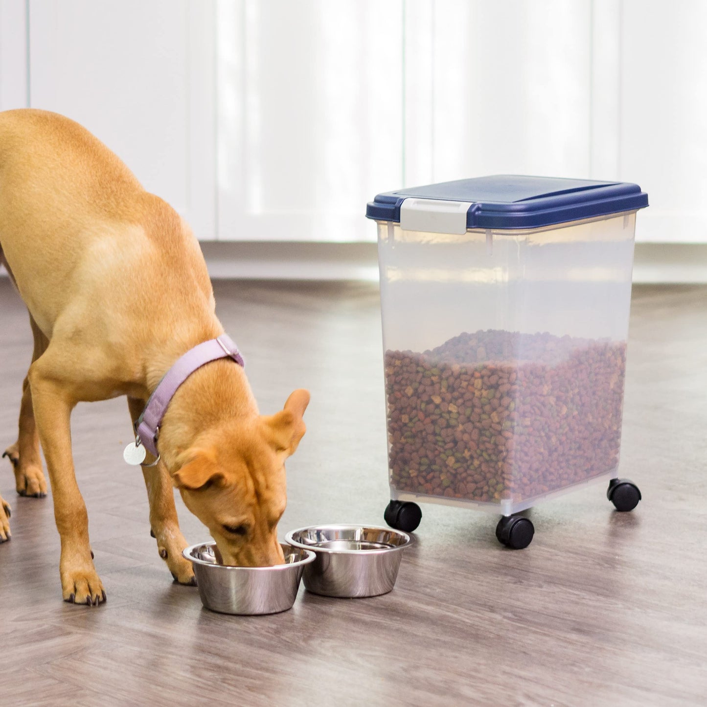 IRIS USA Dog Food Storage Container. Chosen for real quality, fits naturally into modern pet homes.