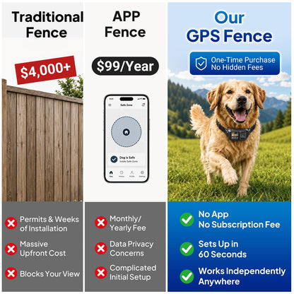 GPS Wireless Dog Fence System. Chosen for real quality, fits naturally into modern pet homes.