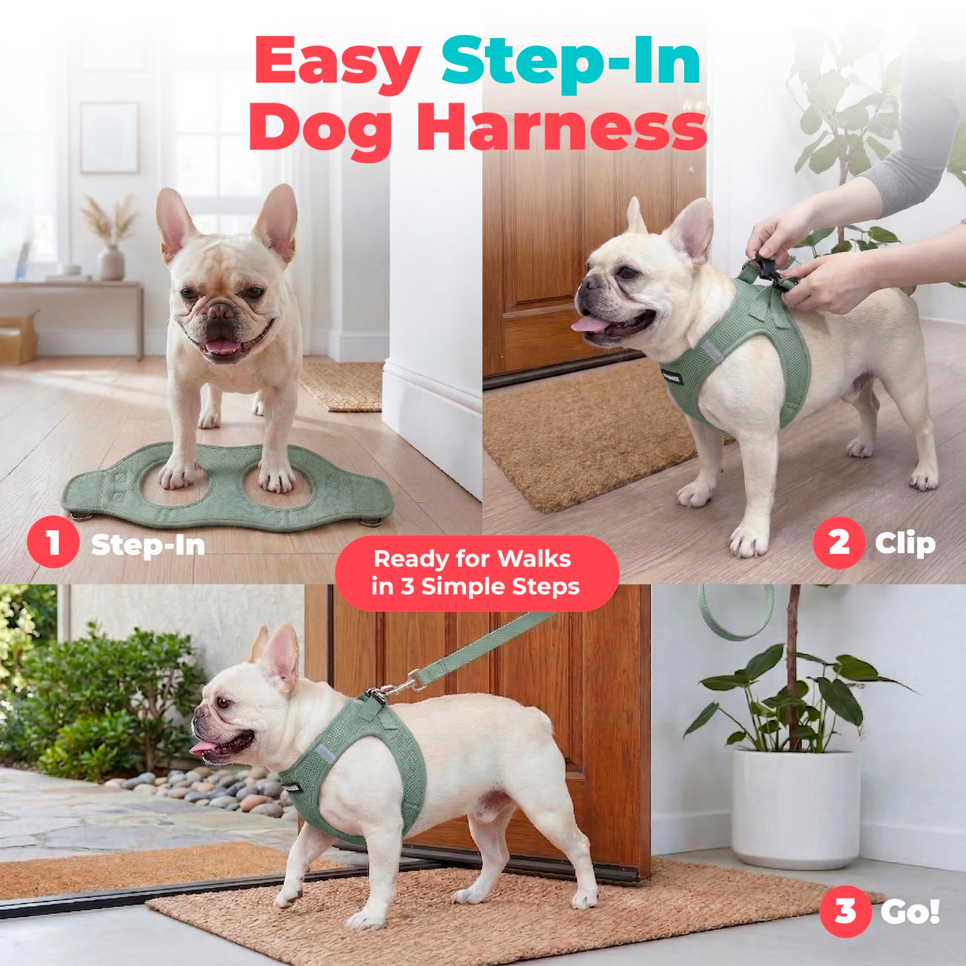 Voyager Step. Chosen for real quality, fits naturally into modern pet homes.