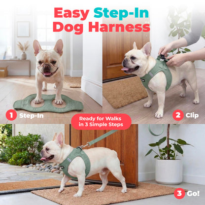 Voyager Step. Chosen for real quality, fits naturally into modern pet homes.