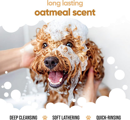 Oatmeal Dog Shampoo by Buddycare | Shampoo for Dogs with Irritated Skin | Relieving and Rehydrating | with Aloe Vera and Pro Vitamin B5 (169.07oz)