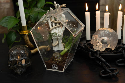 Coffin Shaped Jumping Spider Enclosure 9.5”x7.5”x5” Tarantula Enclosure Reptile Terrarium w/Sliding Magnetic Door. Great Reptile Tank Acrylic Aquarium Spider Box for Terrestrial or Arboreal Animal.