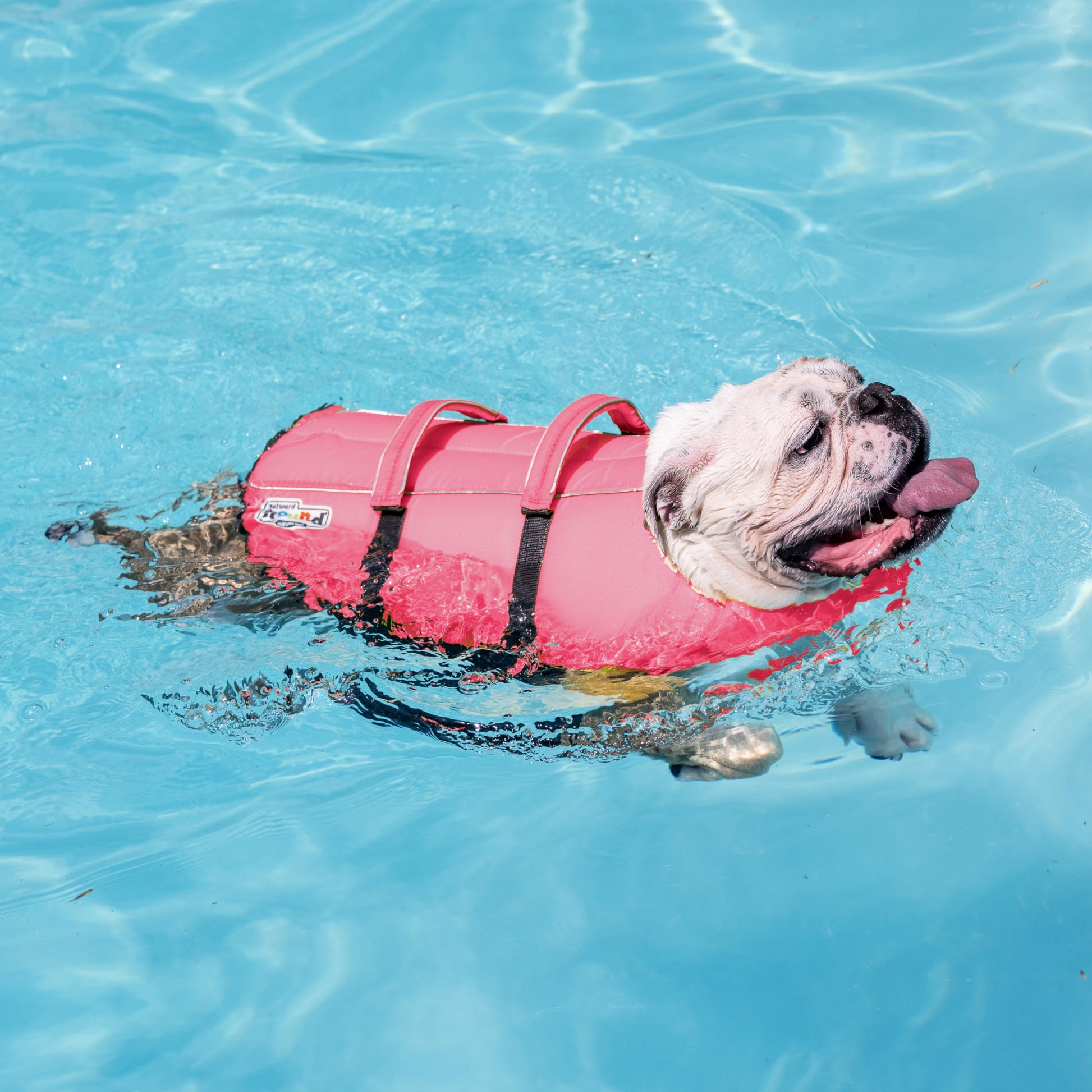Outward Hound Granby Splash Dog Life Jacket. Chosen for real quality, fits naturally into modern
