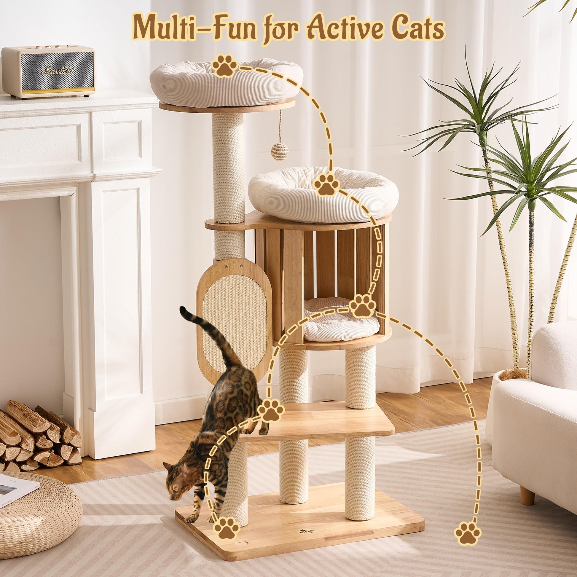 Kicari 50" Modern Cat Tree for Indoor Cats Small to. Chosen for real quality, fits naturally into