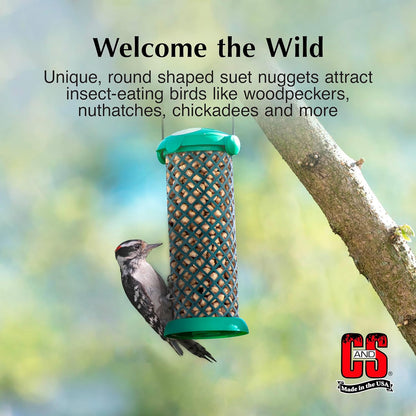 C&S Wild Bird Woodpecker Suet Nuggets Mega Box, 8 Pounds