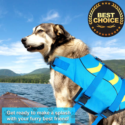 Fragralley Shark Dog Life Jacket. Chosen for real quality, fits naturally into modern pet homes.