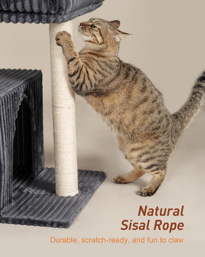 Cat Tree for Large Cat, 22.8” Cat Tower with Scratching Post, 20.9 * 15.7in Perch Bed for Adult Cats, Cat Condo with 2 Caves for Indoor Cats, Dark Gray
