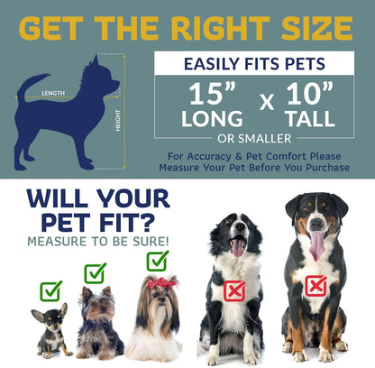 Katziela Pet Carrier - Airline Approved Dog Carrier - TSA Approved Pet Carrier for Small Dogs and Cats - Soft FAA Travel Airplane Dog Carrier Luggage (Black/Blue)