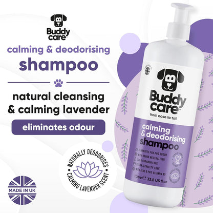 Calming & Deodorising Dog Shampoo by Buddycare | Lavender Scented | with Aloe Vera and Pro Vitamin B5 (33.8oz)