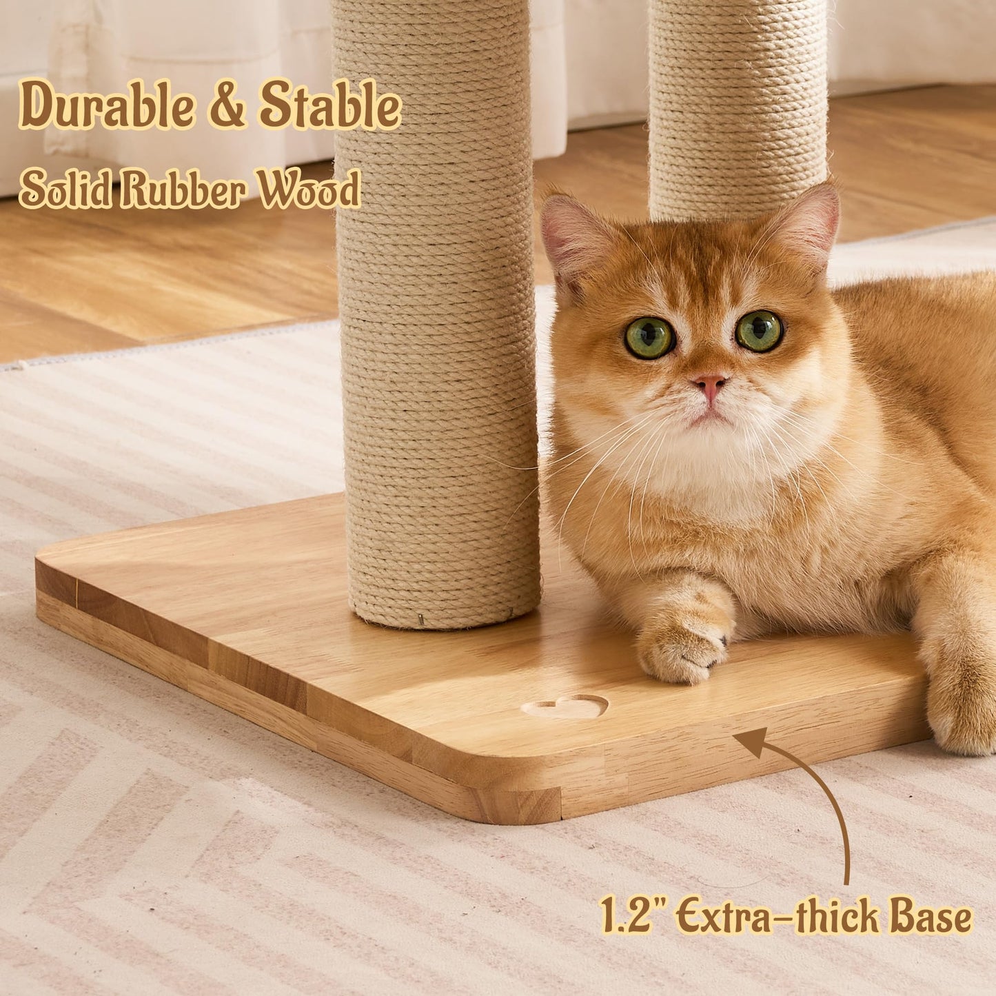 Kicari 50" Modern Cat Tree for Indoor Cats Small to. Chosen for real quality, fits naturally into
