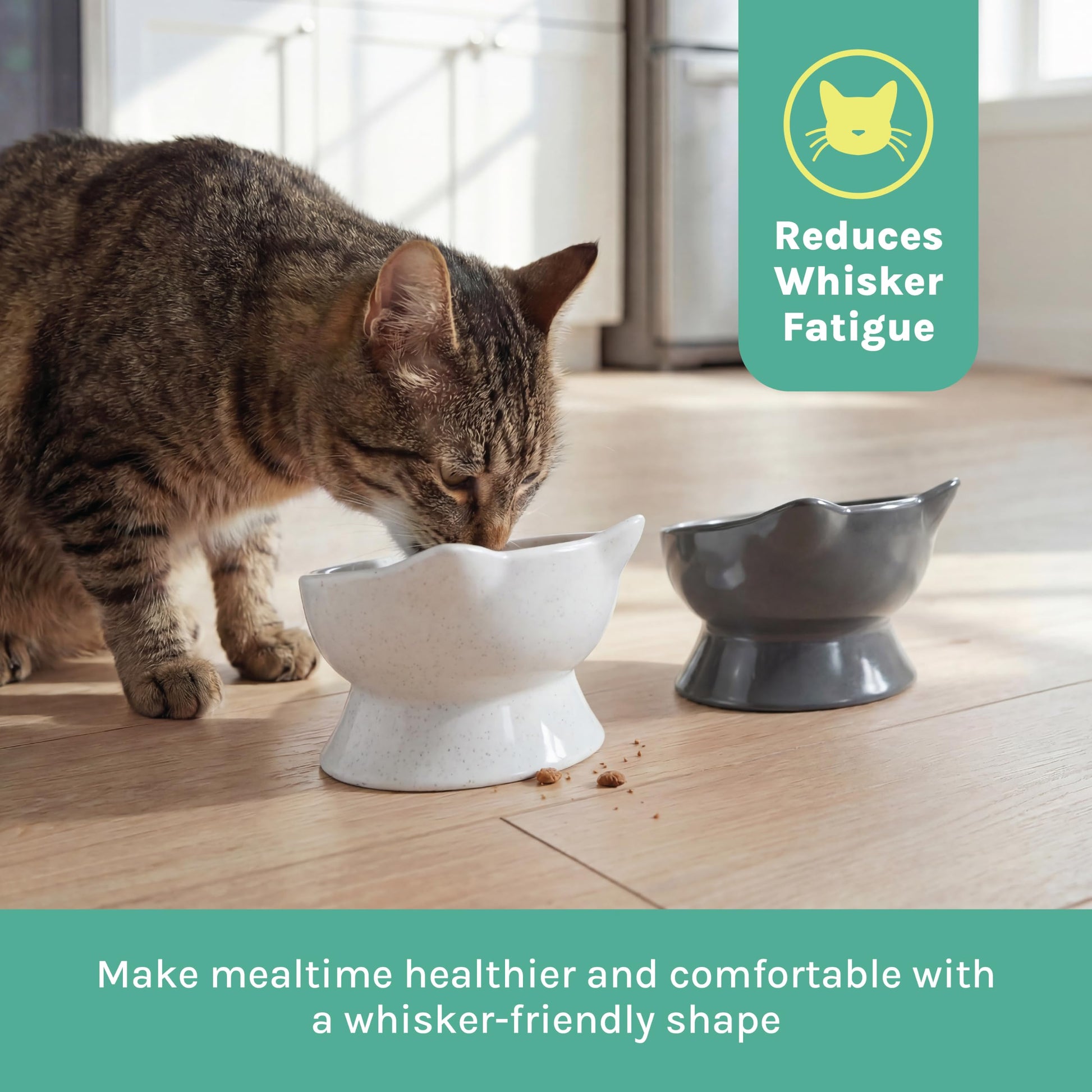 Kitty City Elevated Cat Bowls. Chosen for real quality, fits naturally into modern pet homes.