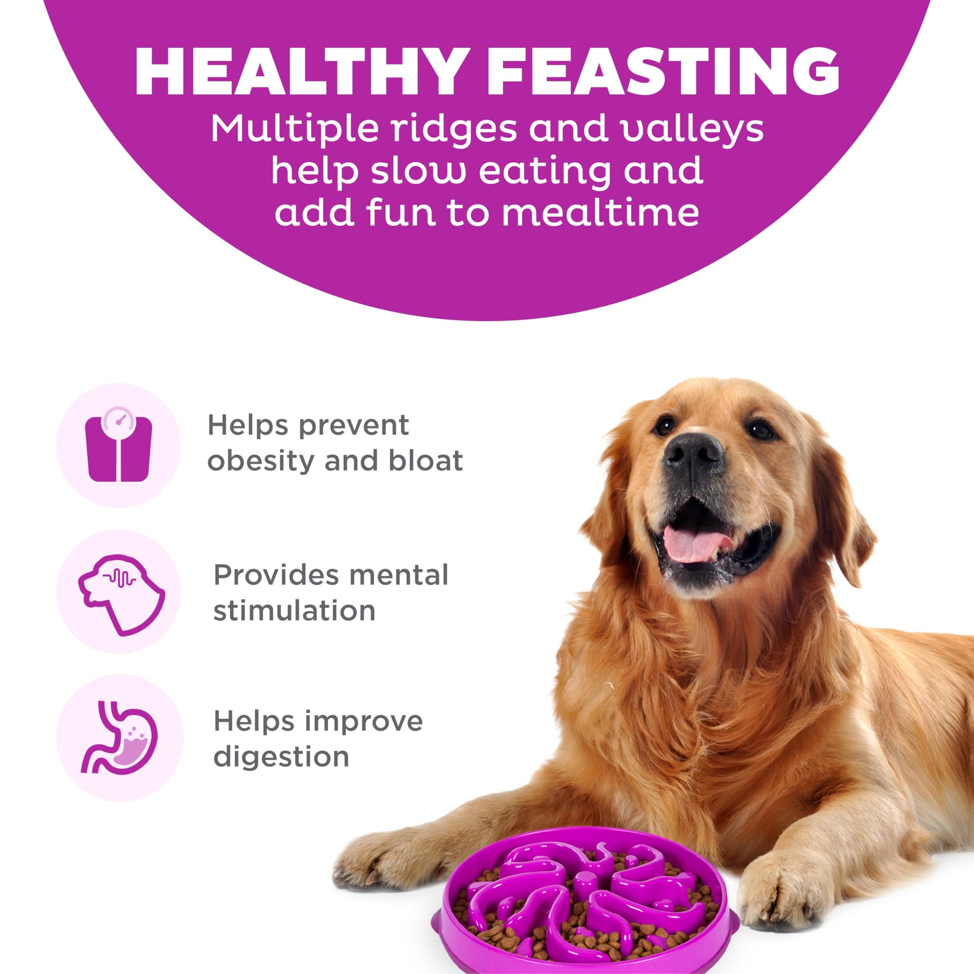 Outward Hound Fun Feeder Slo Bowl. Chosen for real quality, fits naturally into modern pet homes.