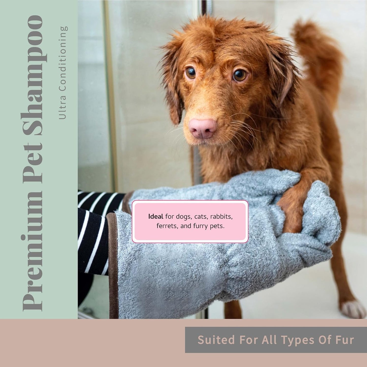 Begley’s No Rinse Waterless Pet Shampoo, Bathless Cleaning, Deodorizing, and Odor Removal for a Shiny, Fresh Smelling Coat - Effective for Dogs, Puppies, and Cats - Fresh Oatmeal Mango Scent