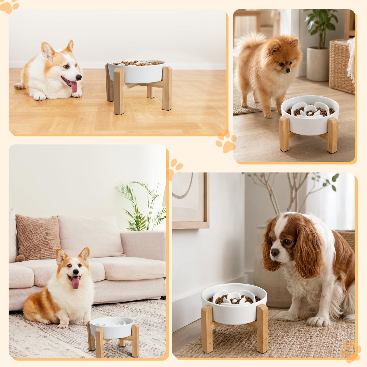 Elevated Slow Feeder Dog Bowl. Chosen for real quality, fits naturally into modern pet homes.