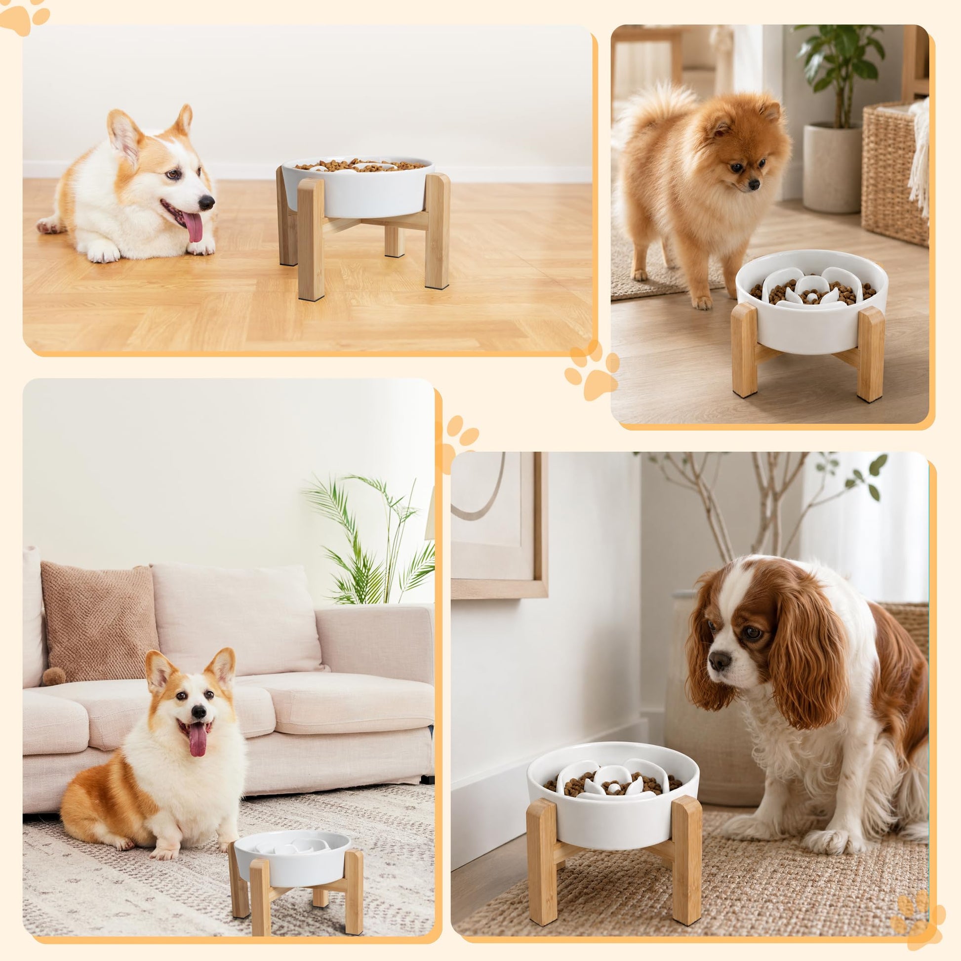 Elevated Slow Feeder Dog Bowl. Chosen for real quality, fits naturally into modern pet homes.