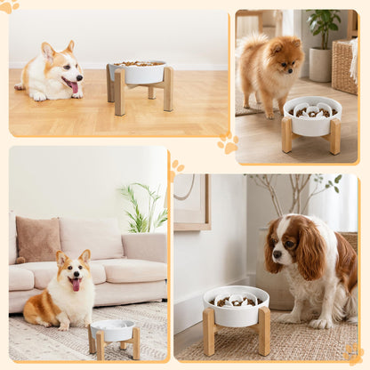 Elevated Slow Feeder Dog Bowl. Chosen for real quality, fits naturally into modern pet homes.