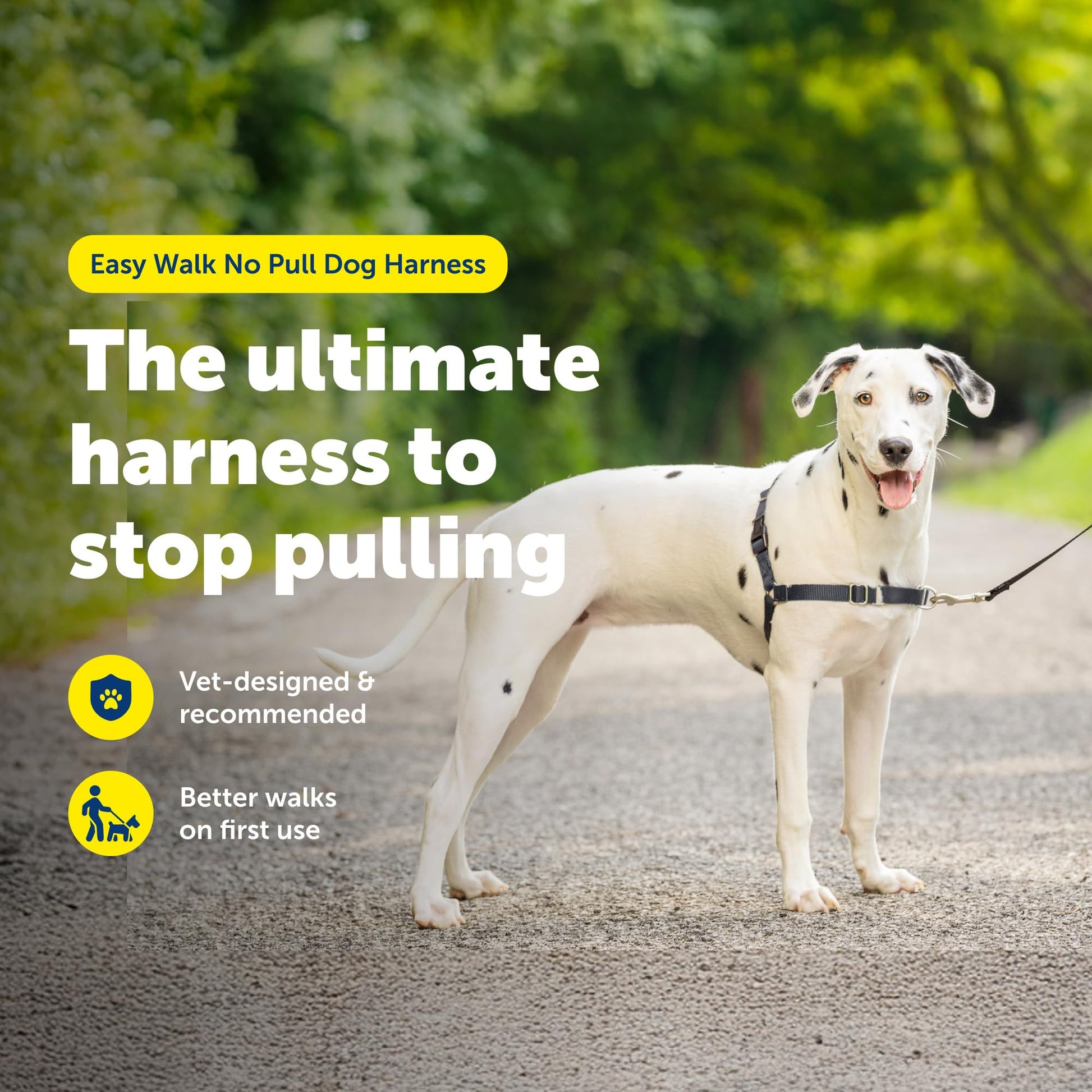 PetSafe Easy Walk Harness. Chosen for real quality, fits naturally into modern pet homes.