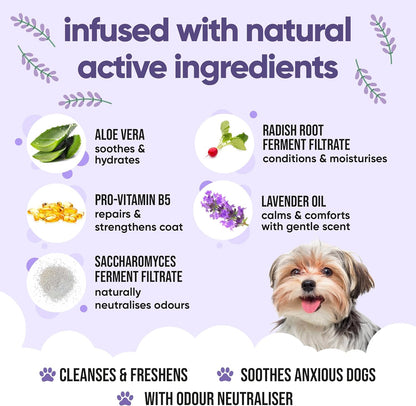 Calming & Deodorising Dog Shampoo by Buddycare | Lavender Scented | with Aloe Vera and Pro Vitamin B5 (169.07oz)