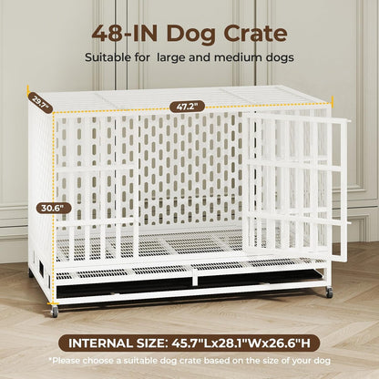 48 Inch Heavy Duty Indestructible Dog Crate Steel Escape Proof, Indoor Double Door High Anxiety Cage, Kennel with Wheels, Removable Tray,White,Extra Large XL XXL