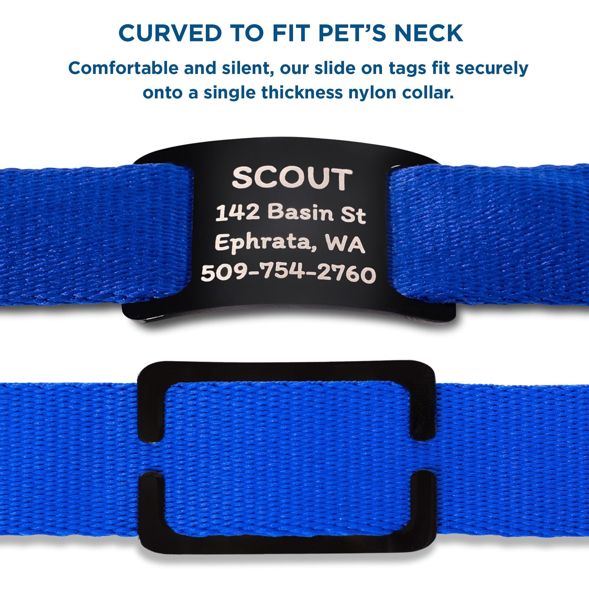 GoTags Slide. Chosen for real quality, fits naturally into modern pet homes.
