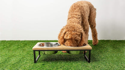 Mango Wood Dog Bowl Stand - Elevated Pet Feeder with 2 Stainless Steel Bowls - Raised Food and Water Dish Set for Dogs and Cats, Available in 4 Sizes, Pet Dining Station, Small/10oz