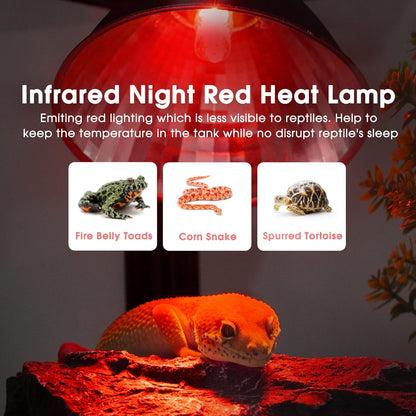 Briignite G9 Infrared Heat Lamp Bulbs for Reptile, Mini Reptile Light, Dimmable Night Red UVA Reptile Heat Lamp, 2 Pin Base Mini Heat Bulbs 50W, Bearded Dragon Turtle Lizard, 6 Pack