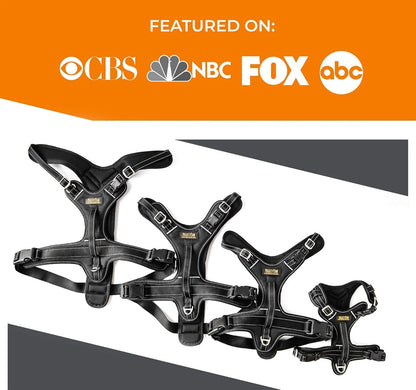 Mighty Paw Sport Harness 2.0 - Padded Canine Accessory - Adjustable Neck and Chest Straps - Enhanced Visibility with Reflective Stitching - Dog Padded Harness with Handle - Large - Black