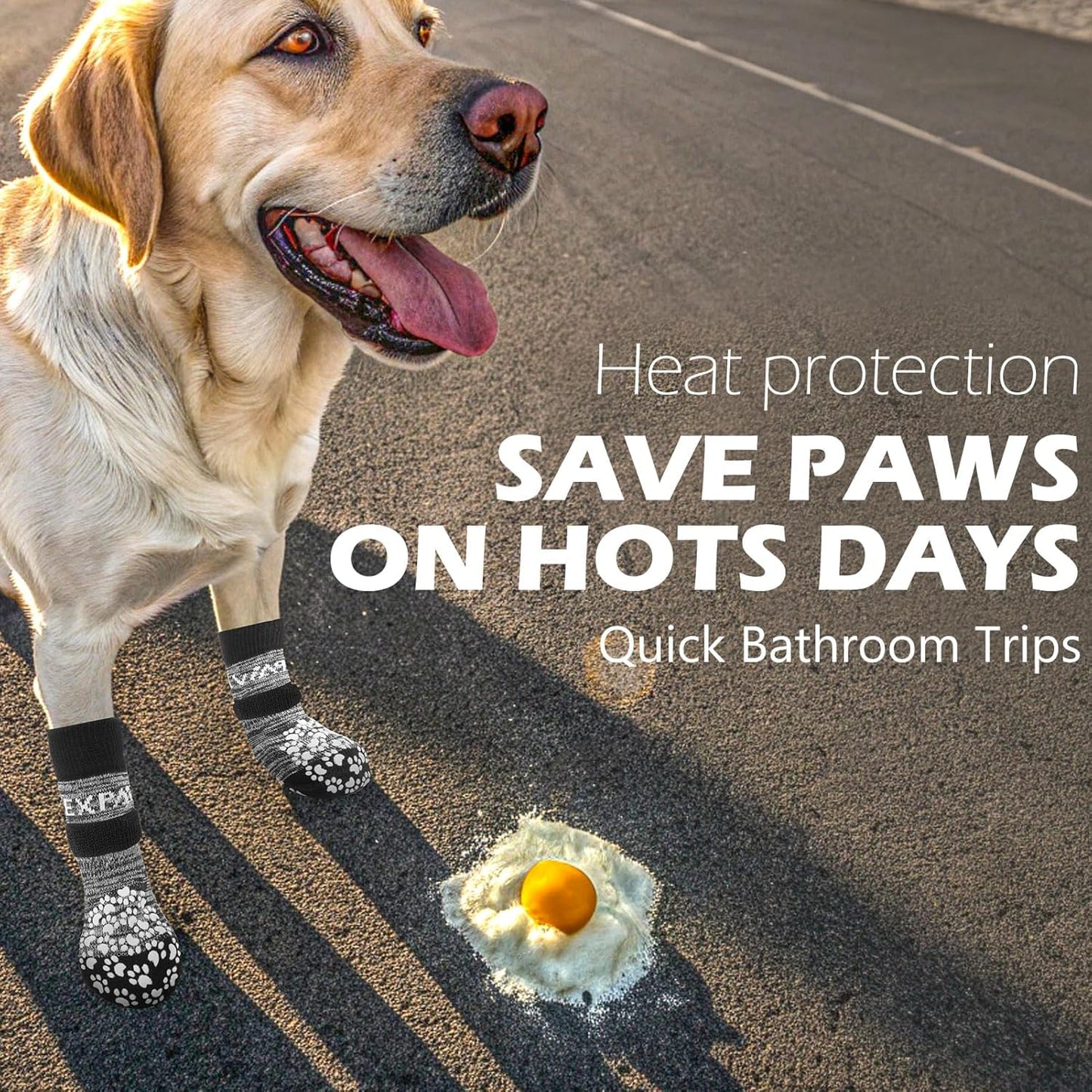 EXPAWLORER 6Pcs Anti. Chosen for real quality, fits naturally into modern pet homes.