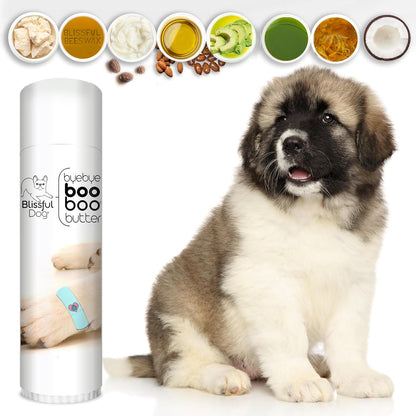 The Blissful Dog Boo Boo Butter for Your Dog's Discomforts, 0.50-Ounce