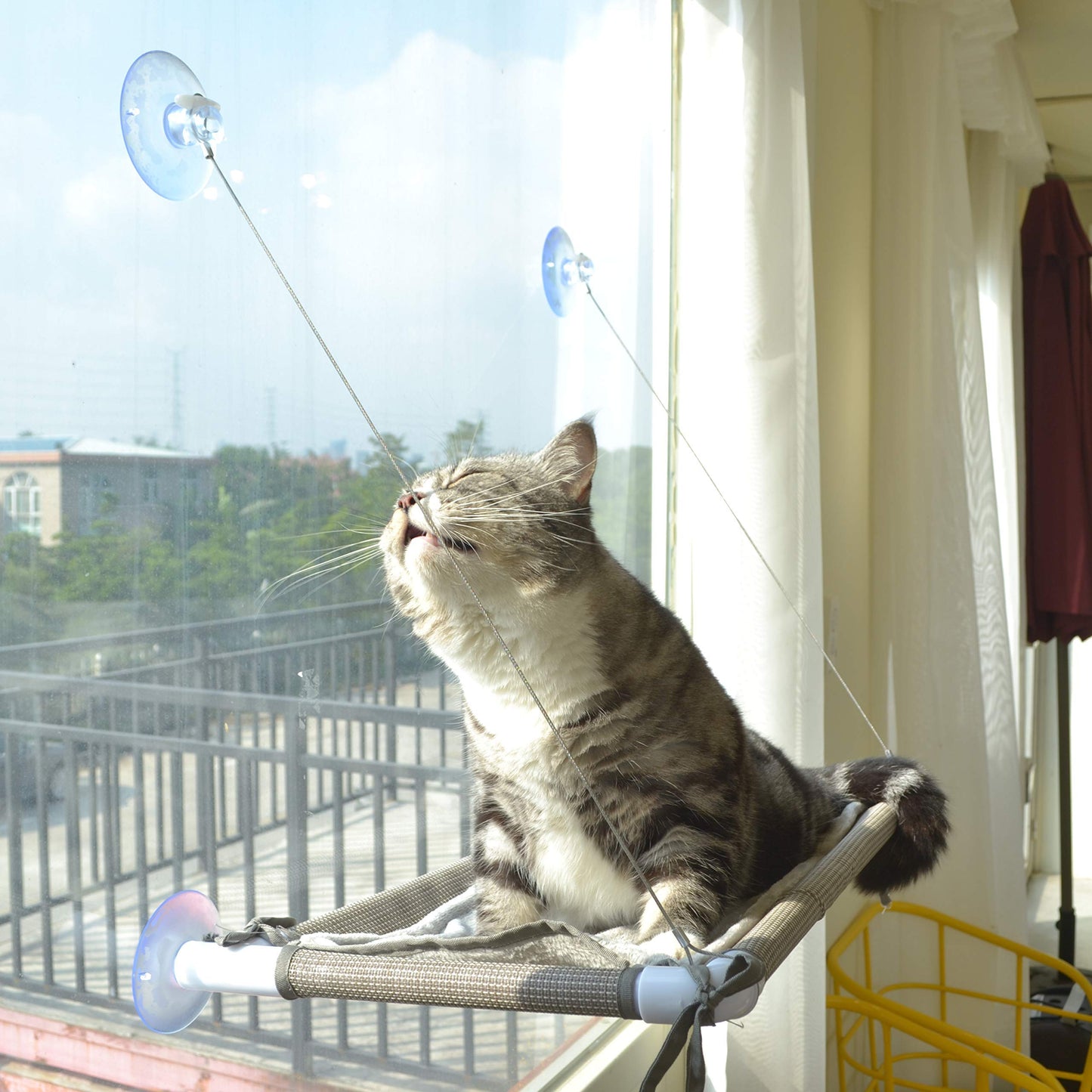PEFUNY Cat Window Hammock. Chosen for real quality, fits naturally into modern pet homes.