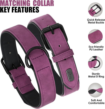 Didog Soft Padded Leather Dog Collar and Leash Set, Heavy Duty Dog Leash and Collar Set with Metal Buckle, Breathable Dog Collars with 4FT Leather Dog Leash for Small Medium Large Dogs, Purple, L