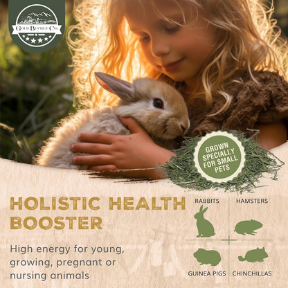 10lb Freshly Dried Organic Alfalfa Hay for Guinea Pigs, Rabbits, Chinchillas, Goats, Hamsters & Ferrets, Small Animal Food Rich in Protein & Fiber, Hand-Selected, Hand sorted, USA Grown