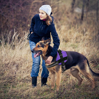 Dogline Dog Harness, Reflective No-Pull Adjustable Vest with Handle for Walking, Training, Breathable, No - Choke Harness for Small, Medium or Large Dogs Room for Patches Girth 33"-46" in Purple