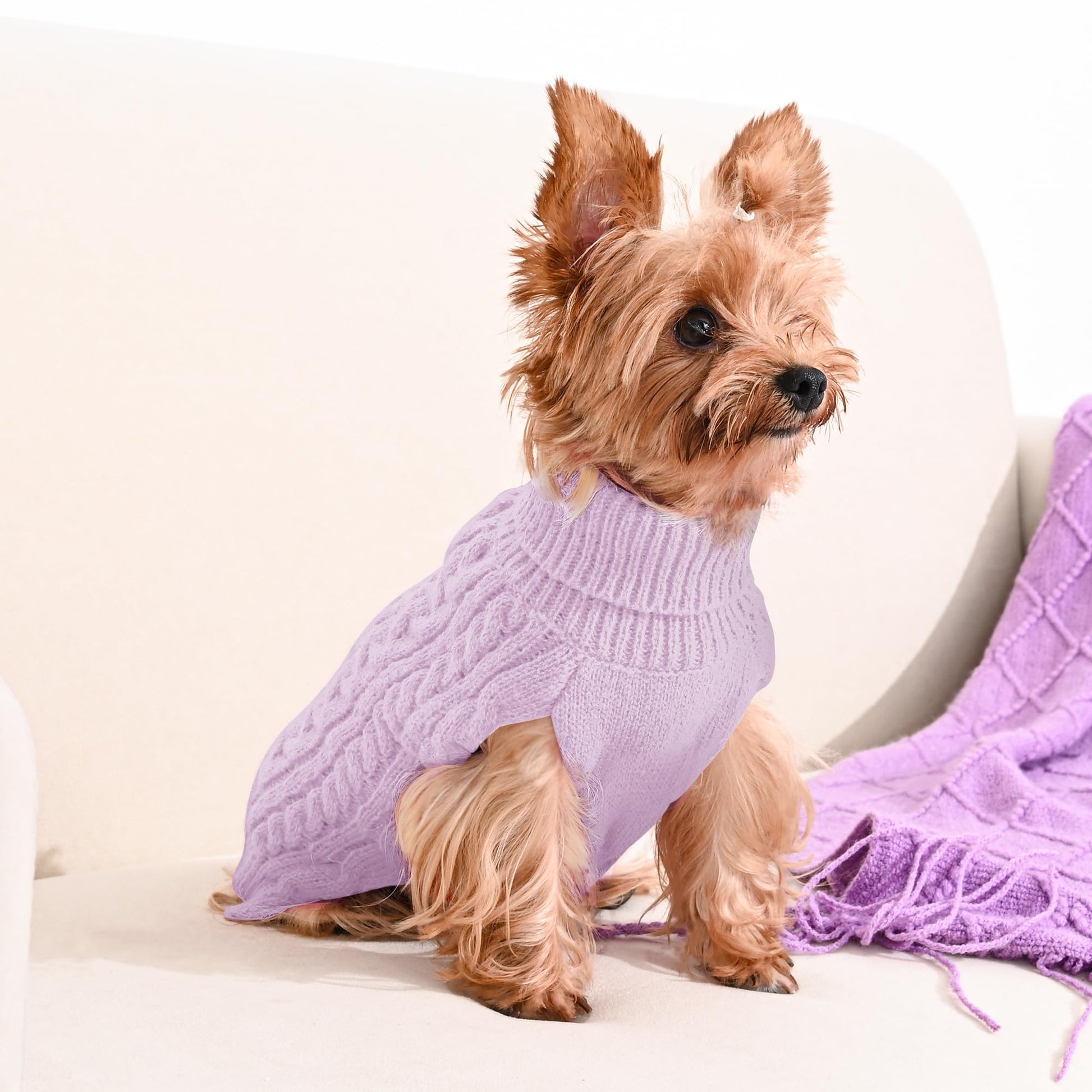 Lorehelina Dog Sweater 2 Pack for Small Dogs. Chosen for real quality, fits naturally into modern