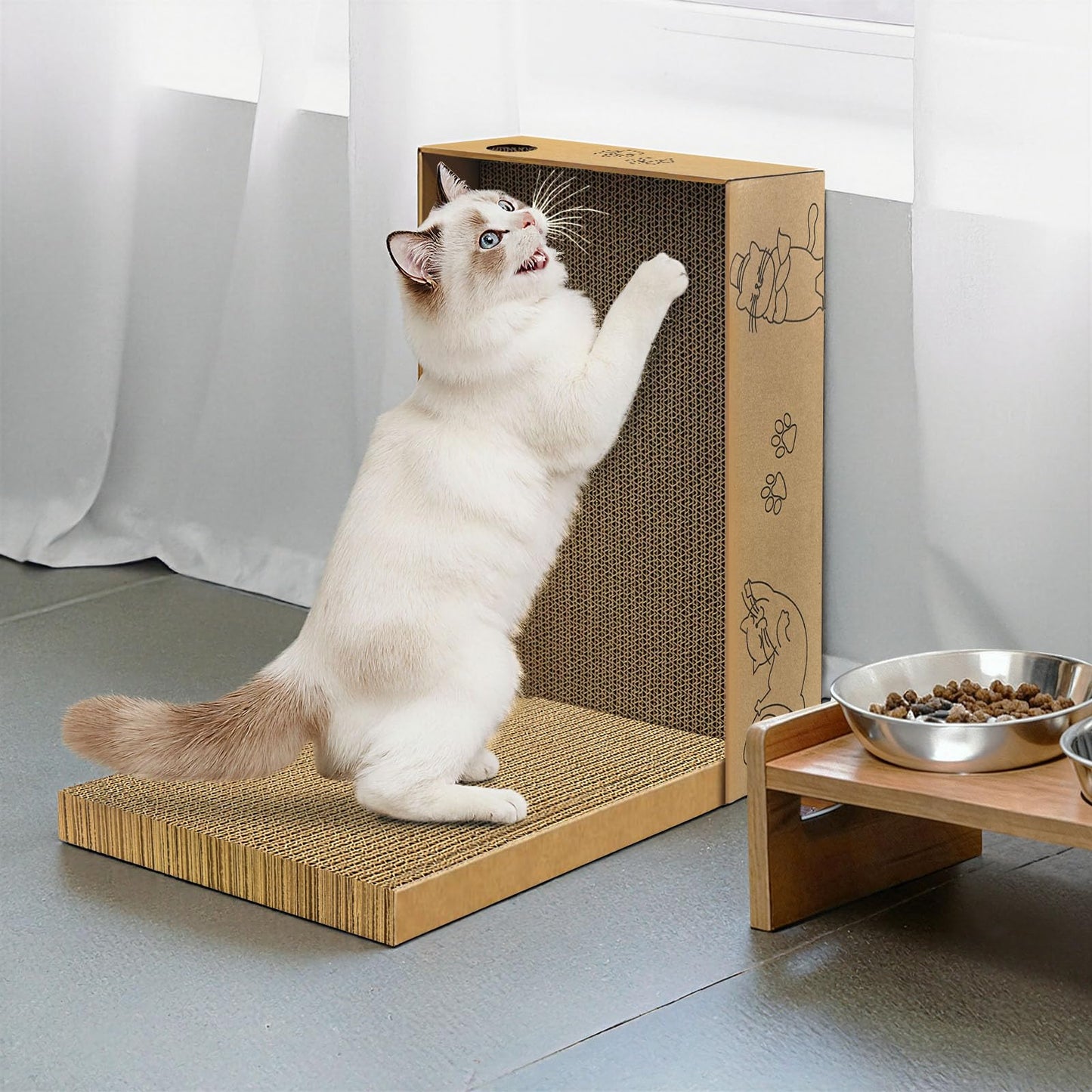 AGYM Cat Scratcher. Chosen for real quality, fits naturally into modern pet homes.